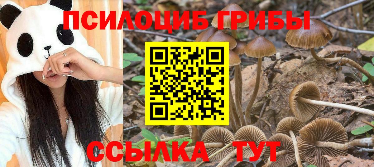 Псилоцибиновые грибы Cubensis  Псилоцибиновые грибы Cubensis  Арзамас  Вход с VPN 